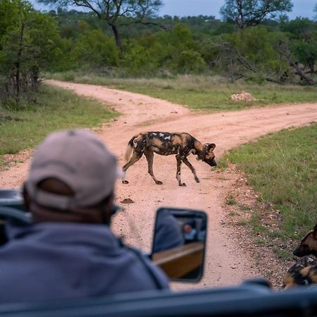 Thornybush Game Lodge Резерват Торнибуш Екстериор снимка
