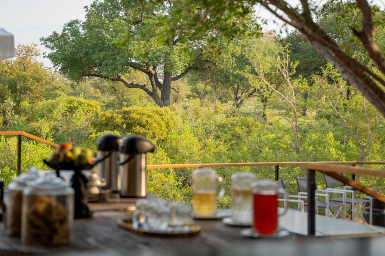 Thornybush Game Lodge Резерват Торнибуш Екстериор снимка